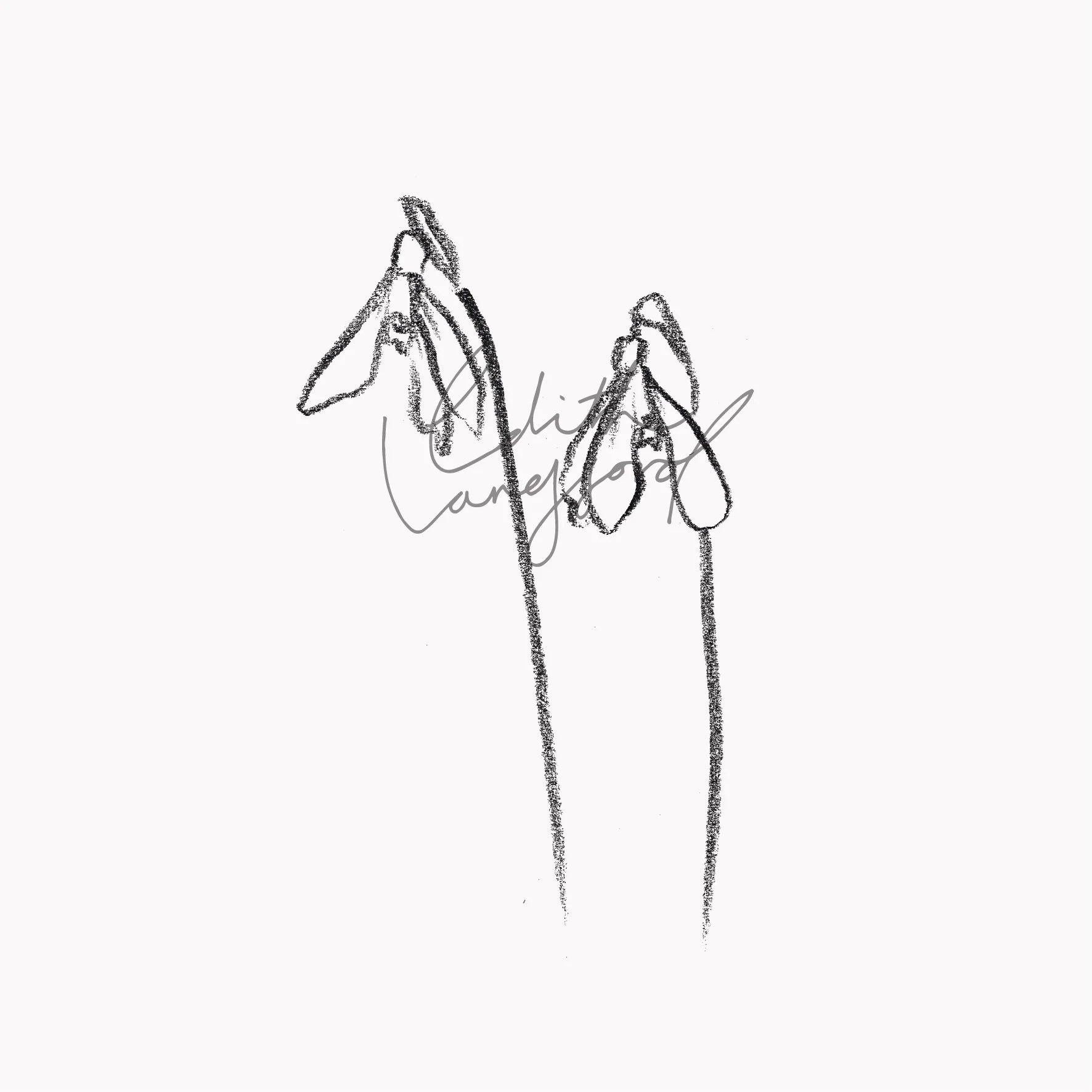Snowdrop Tattoo Artwork