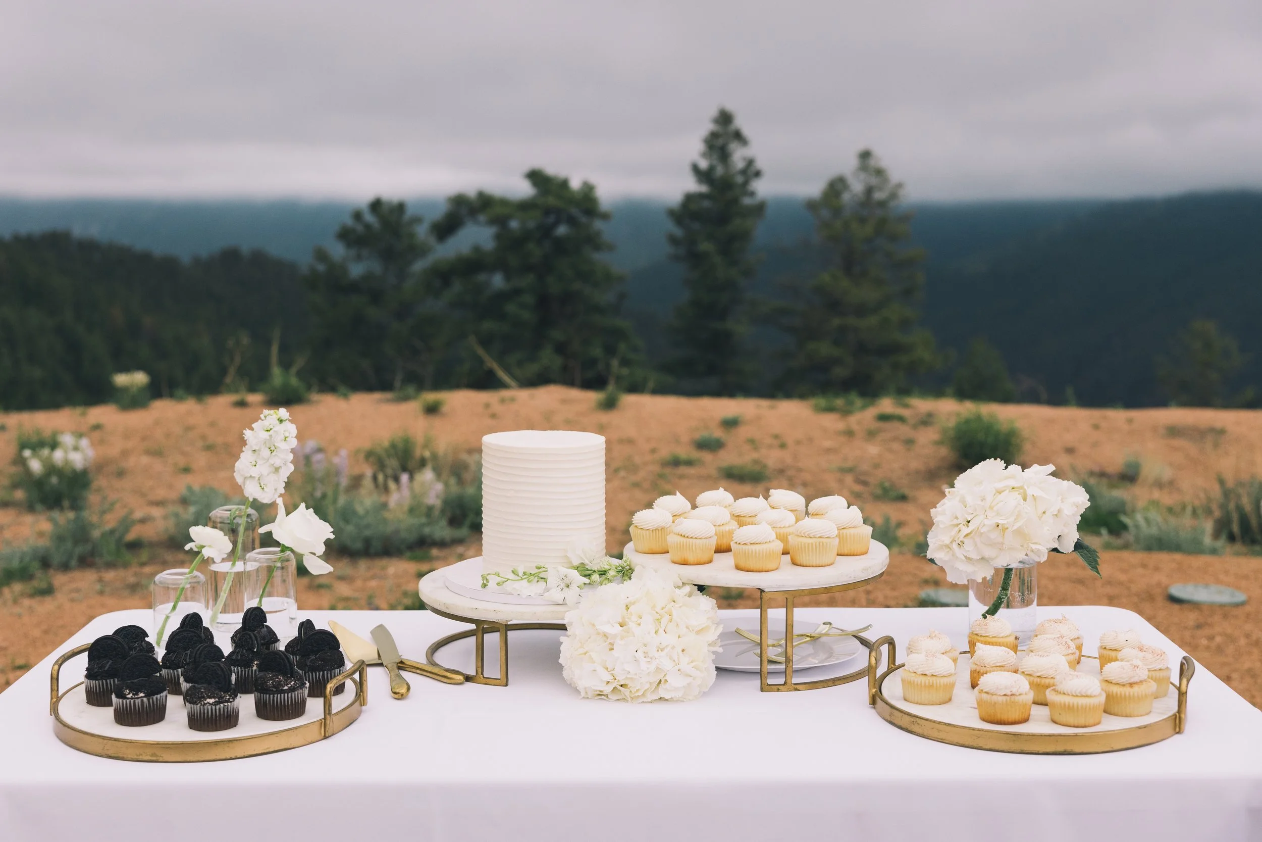 CarolynandMichaelWedding(657).jpg