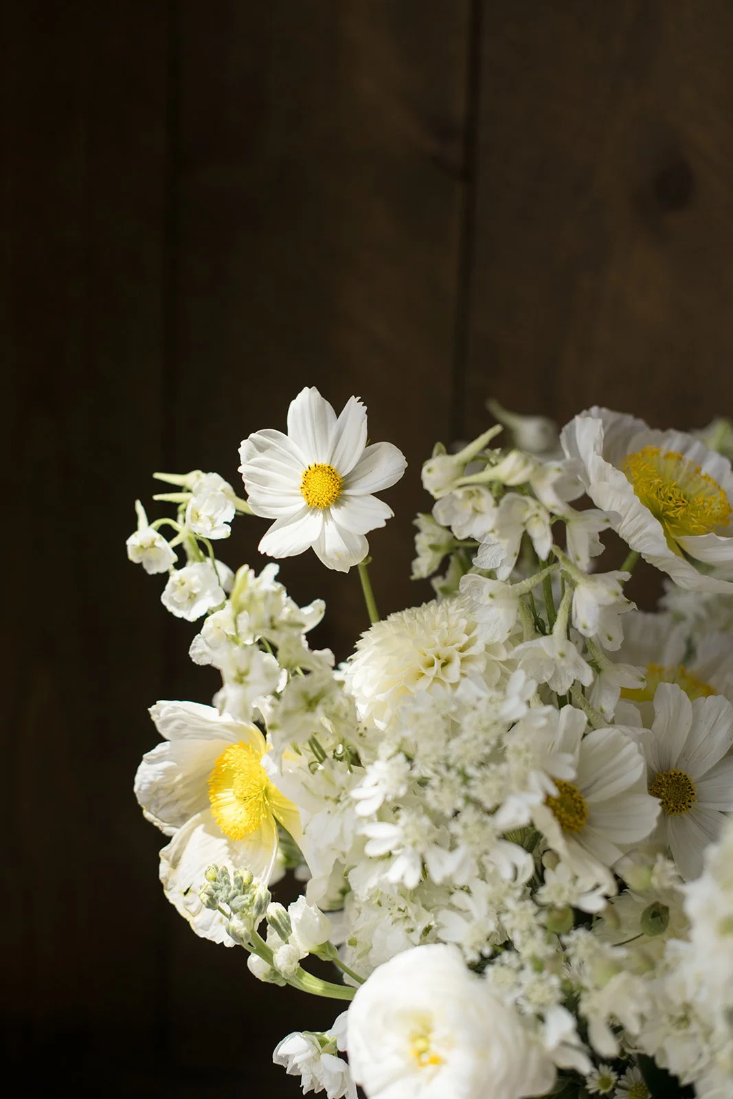 meg-kent-colorado-wedding-preview-5.jpg