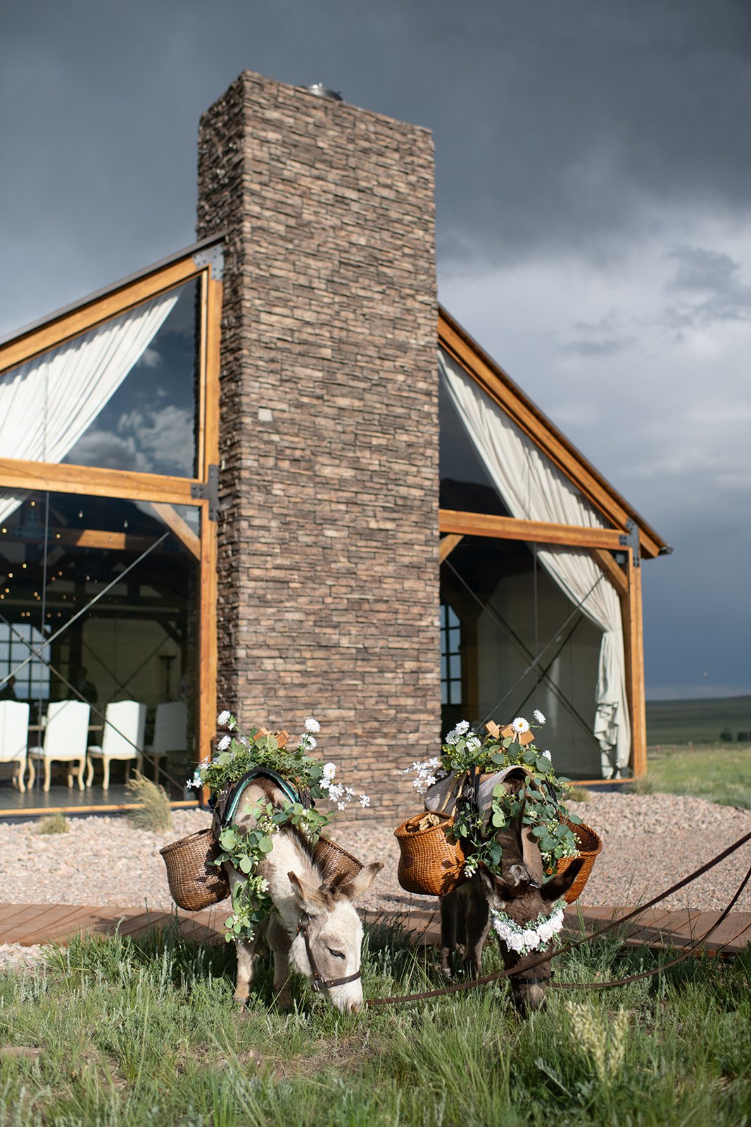 meg-kent-colorado-wedding-preview-61.jpg