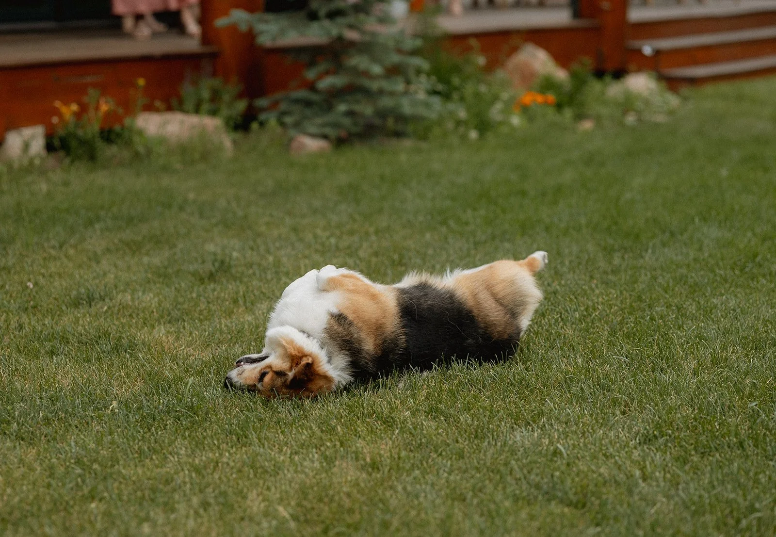 nicole & zach sneaks-37.jpg