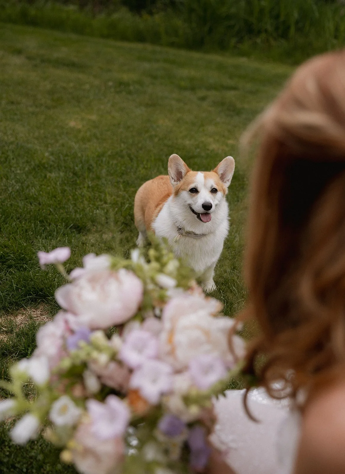 nicole & zach sneaks-41.jpg