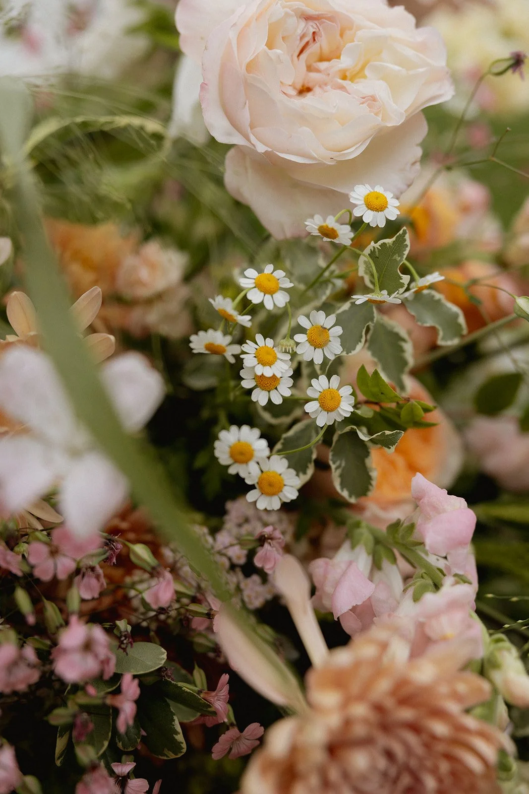 nicole & zach sneaks-51.jpg