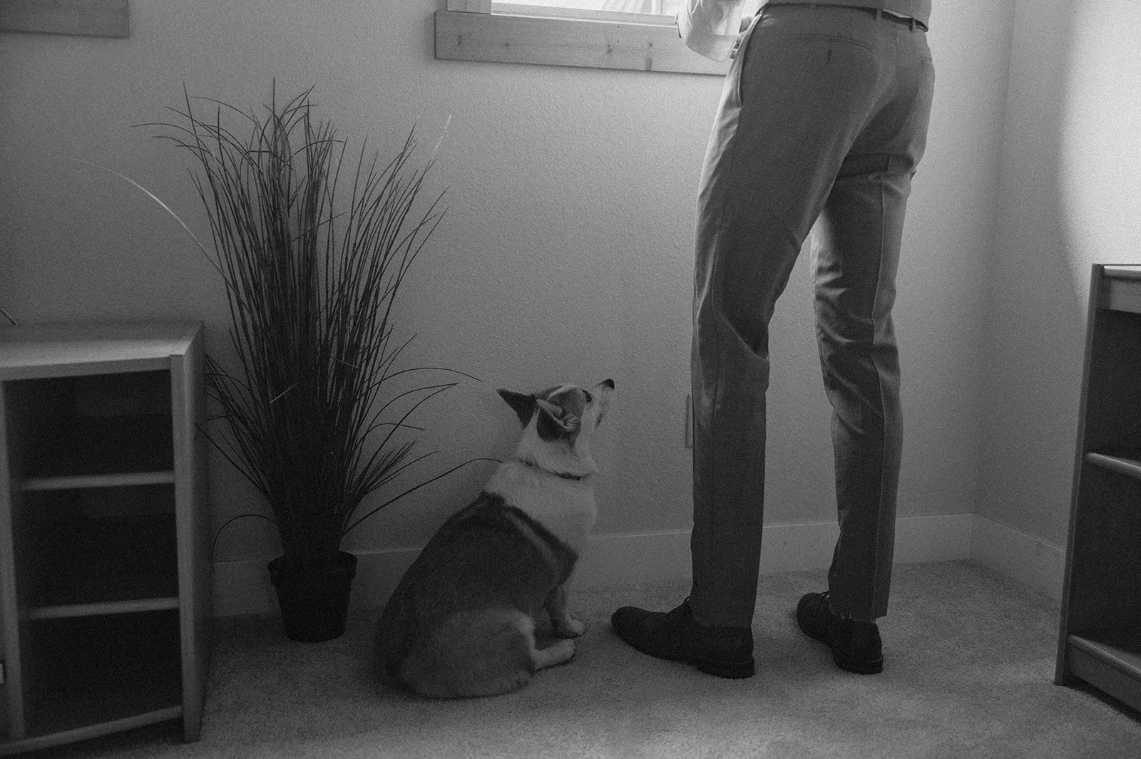 nicole & zach sneaks-14.jpg