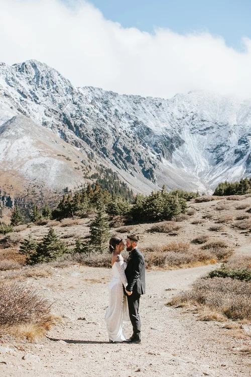 Wild Social Micro Wedding Planners