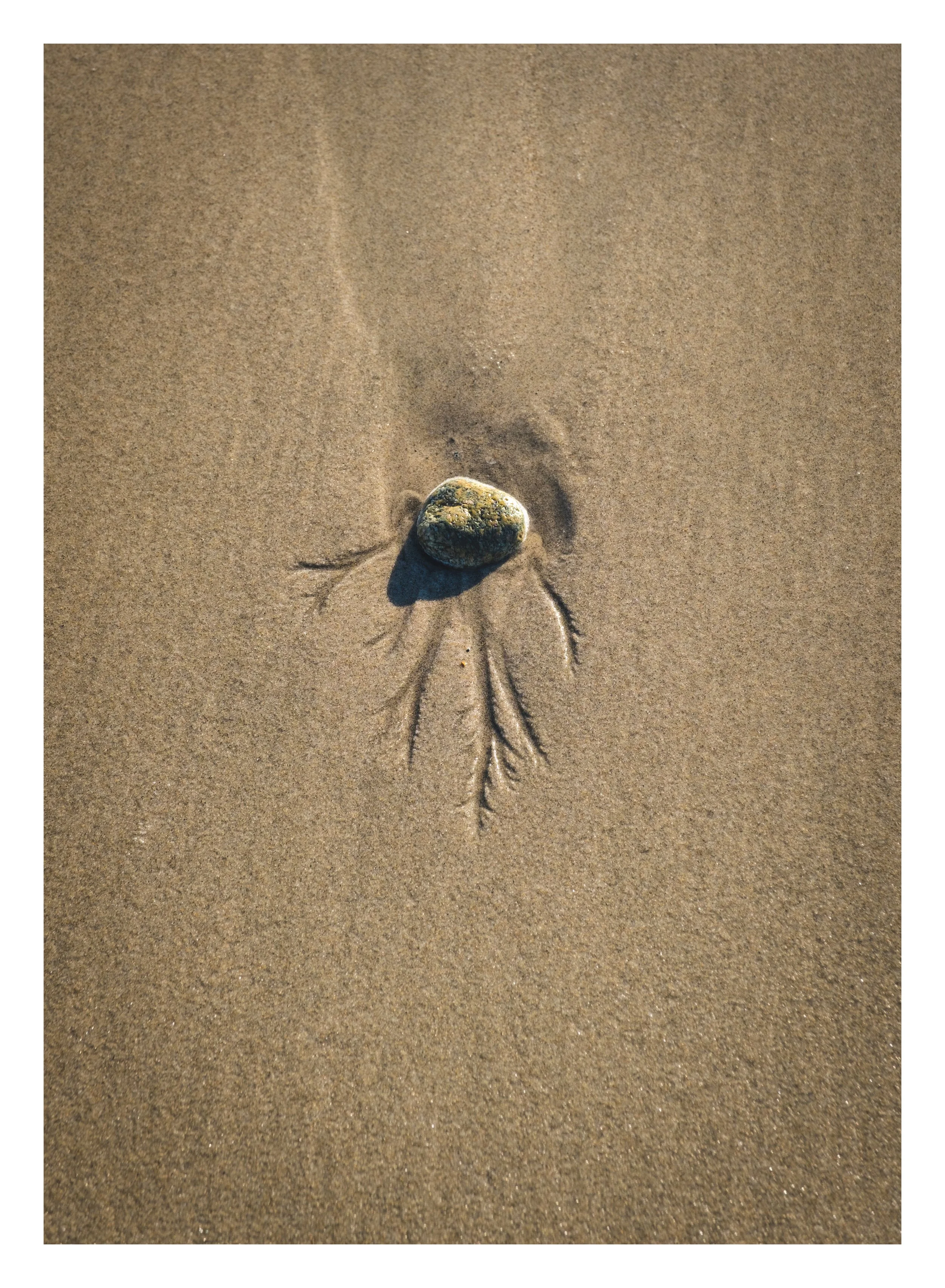 Humarock23 - Circulation - Matted.jpg