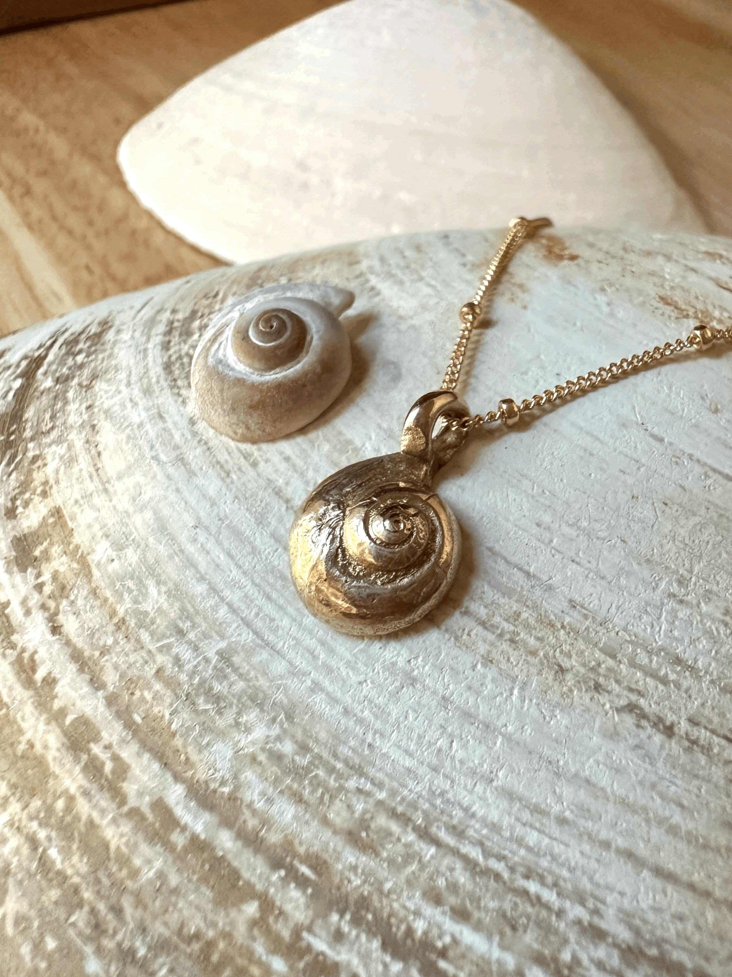 Periwinkle Shell Necklace