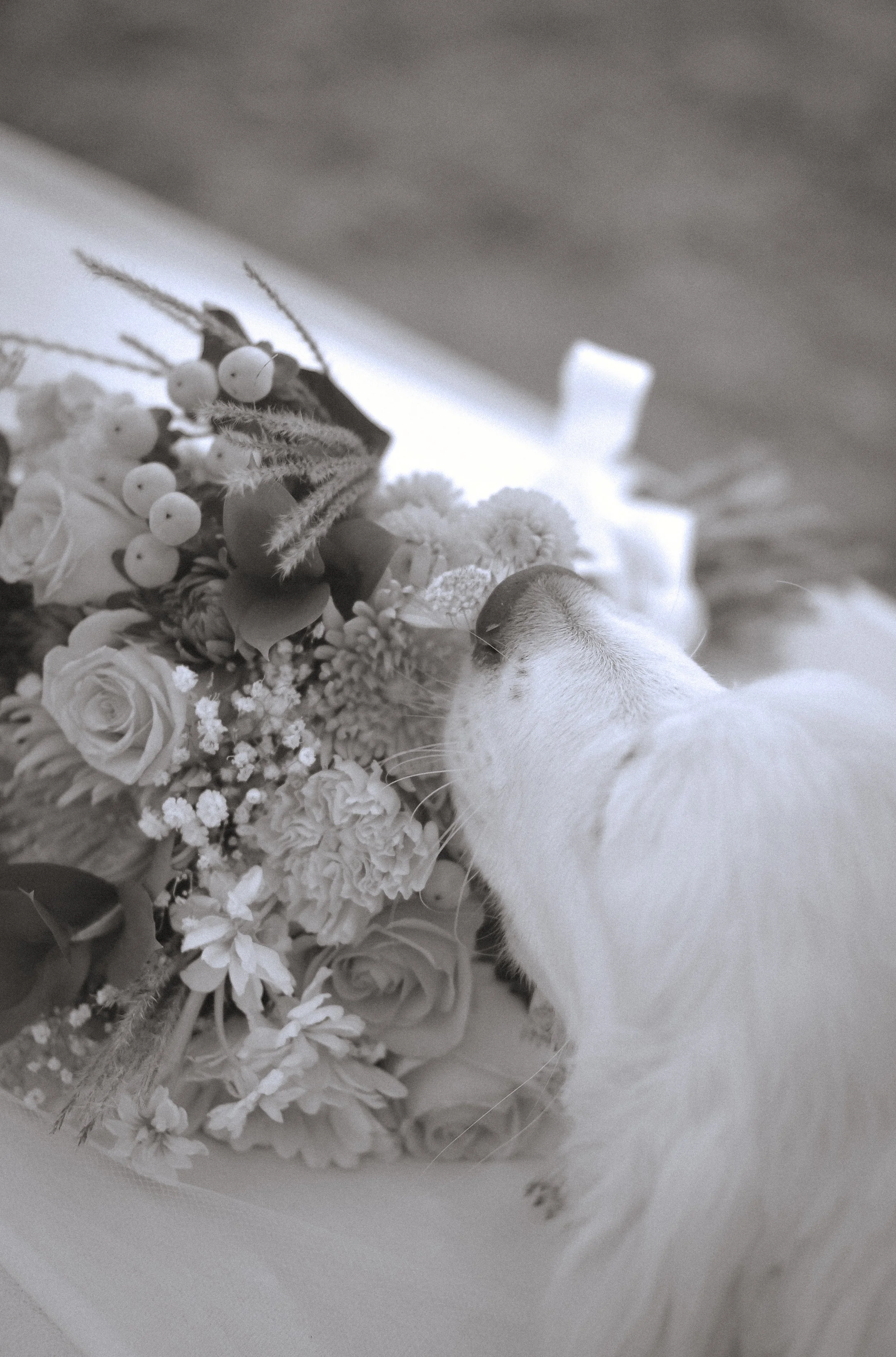 DSC_5910.jpeg