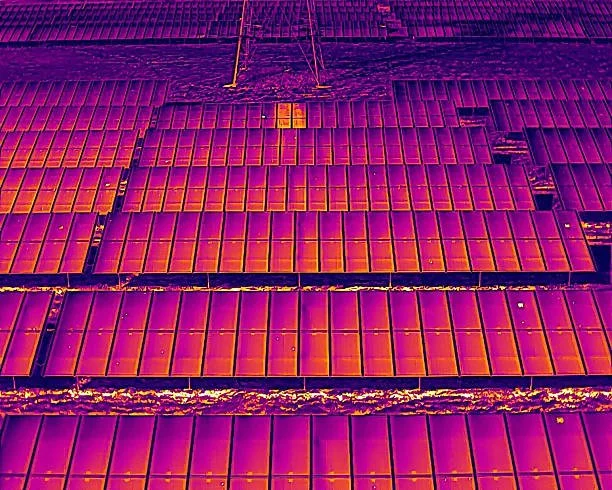 Aerial view of a large solar panel farm with numerous pink and purple solar panels arranged in rows.
