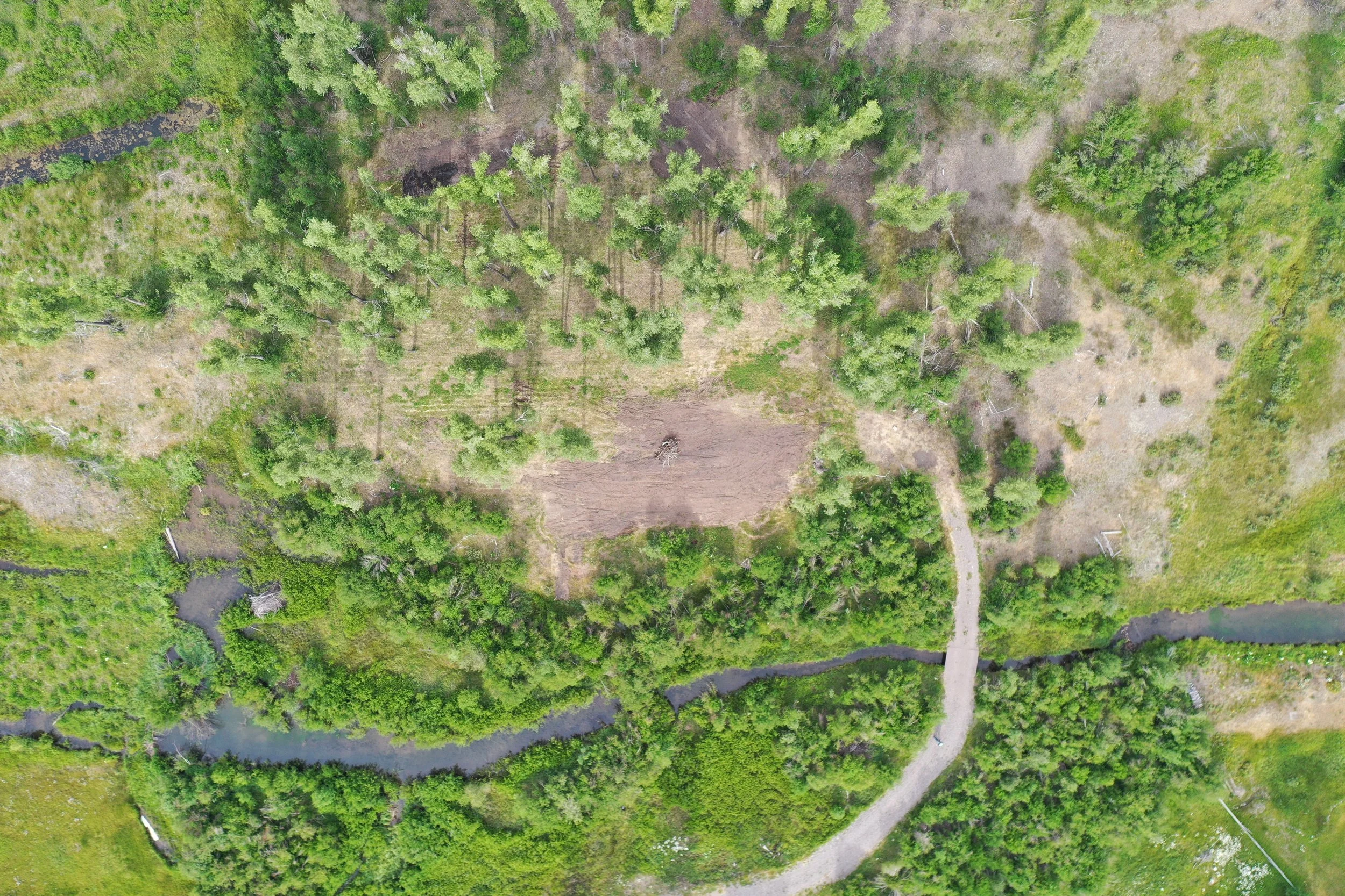 An aerial view of a forested area with a river running through it, a cleared field, walking trails, and dense trees.