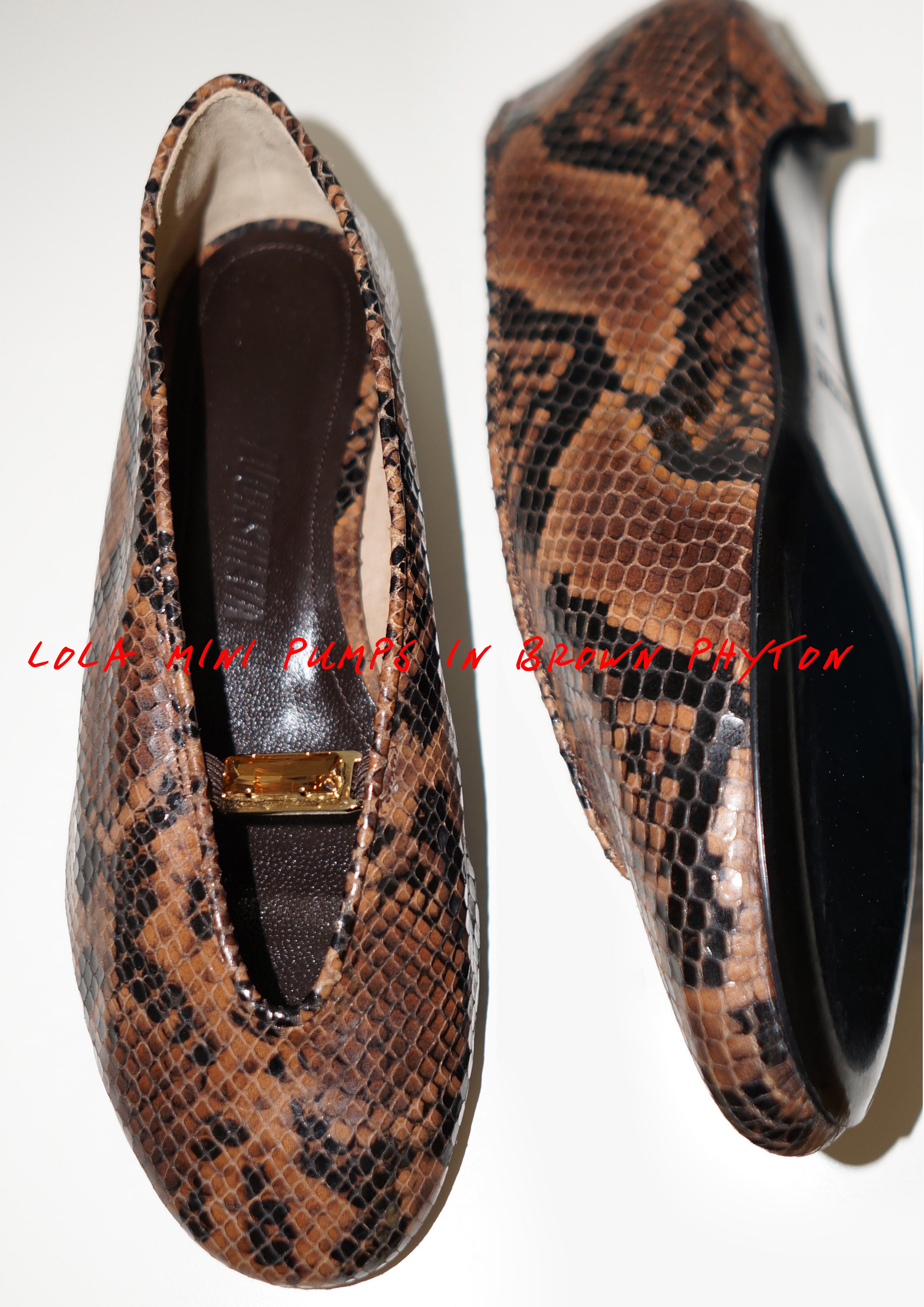 Lola in Brown Python