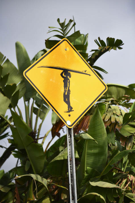 Screen Shot 2022-10-13 at 4.34.38 PM.png