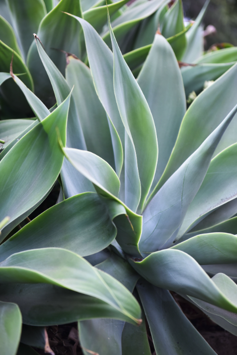 Screen Shot 2022-10-13 at 4.42.40 PM.png