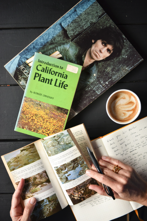 Screen Shot 2022-10-13 at 4.42.10 PM.png