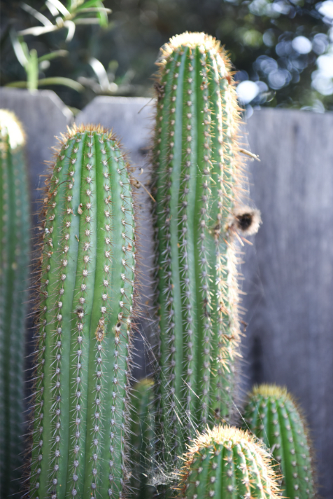 Screen Shot 2022-10-13 at 4.36.41 PM.png