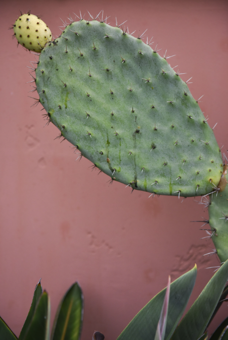 Screen Shot 2022-10-13 at 4.47.42 PM.png