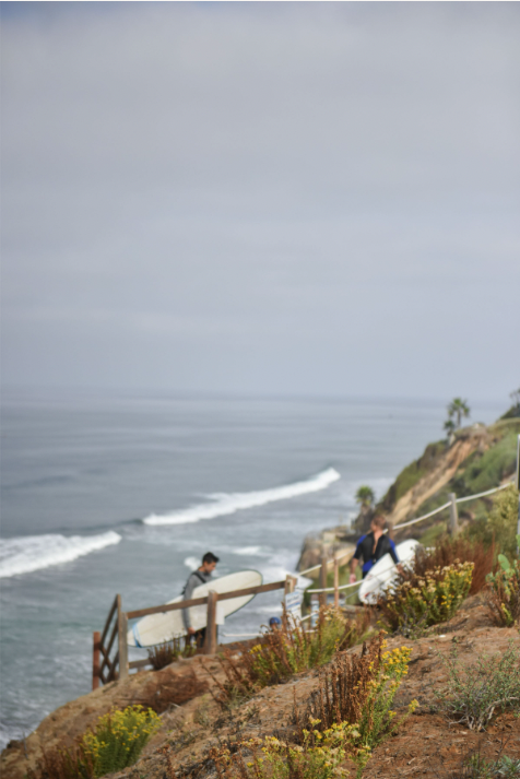 Screen Shot 2022-10-13 at 4.35.21 PM.png