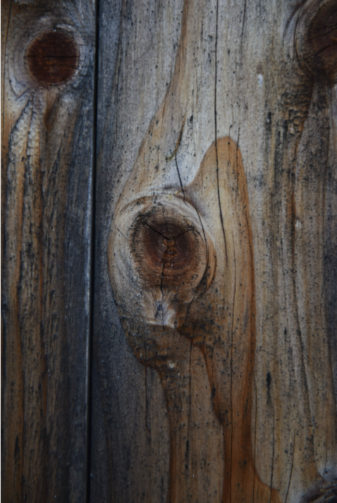 Screen Shot 2022-10-13 at 4.37.02 PM.png