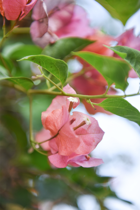 Screen Shot 2022-10-13 at 4.36.50 PM.png