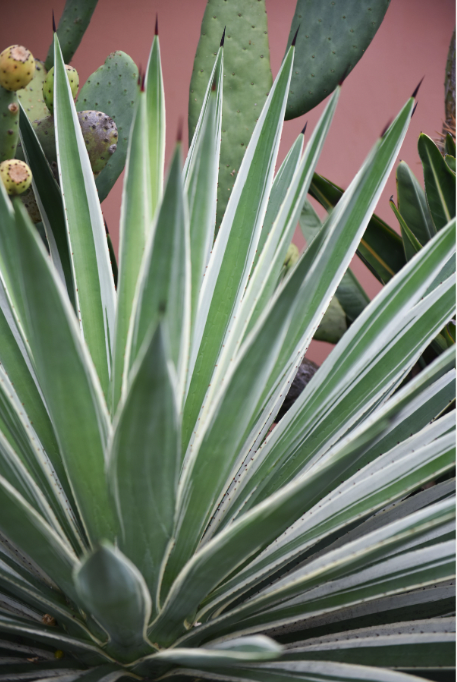 Screen Shot 2022-10-13 at 4.46.48 PM.png