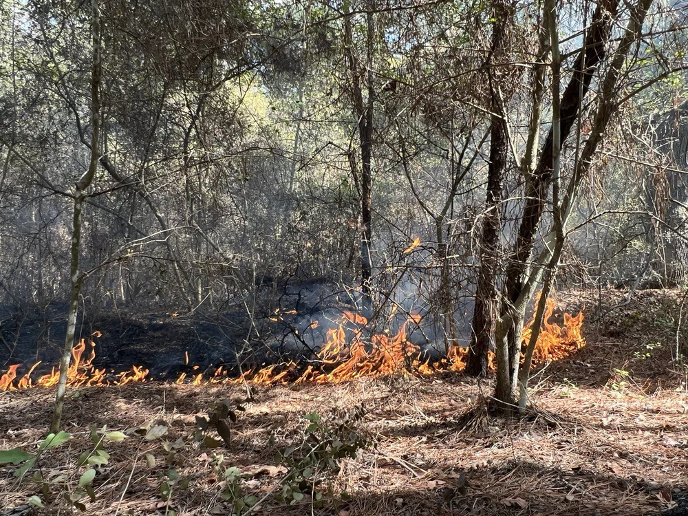 Arizona Wildfire and Incident Management Academy
