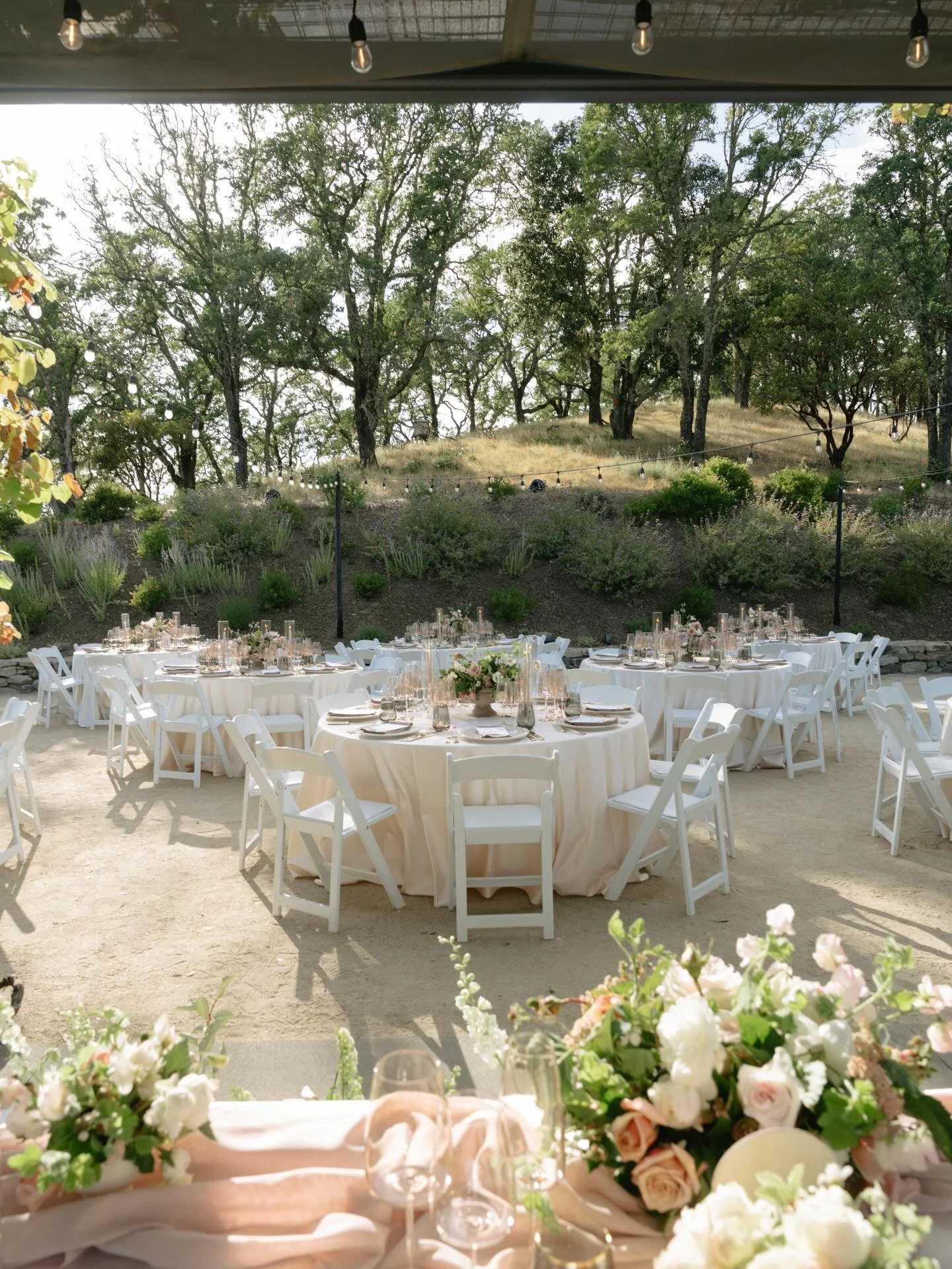 b + a // the badass cuties edition 🤍
.
.
.
Venue, Catering, &amp; Bar @montagehealdsburg 
Photography @sunandsoulphoto 
Flowers @jenniflorasonoma 
Rentals @encoreeventsrentals 
Harp @bellarosastringquartet 
Signage @keeganlanecreative 
DJ &amp; Soun