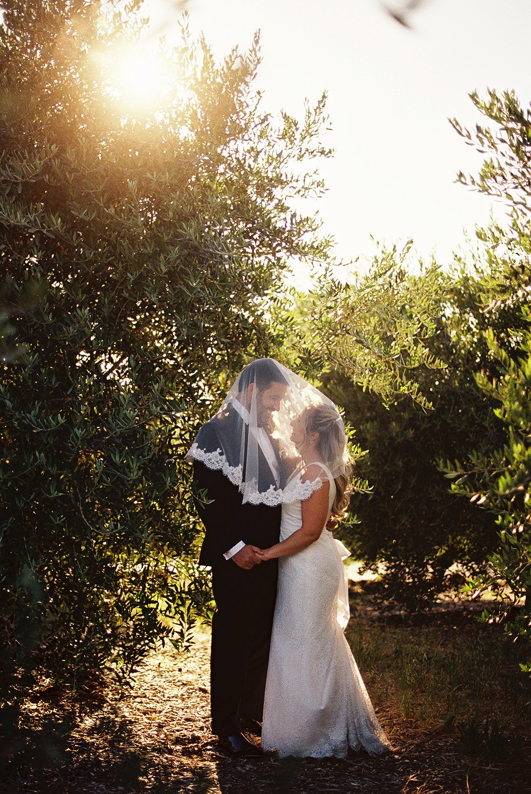 B&amp;P Wine Country Celebration in Asti, California