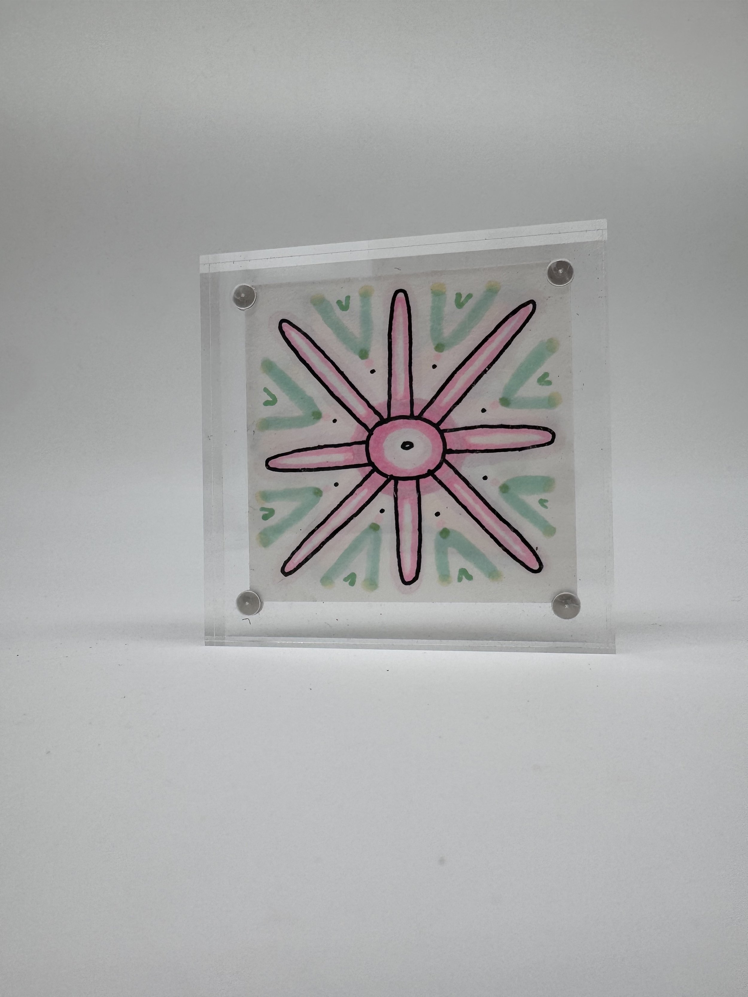 IMG_3345.jpeg (Copy)