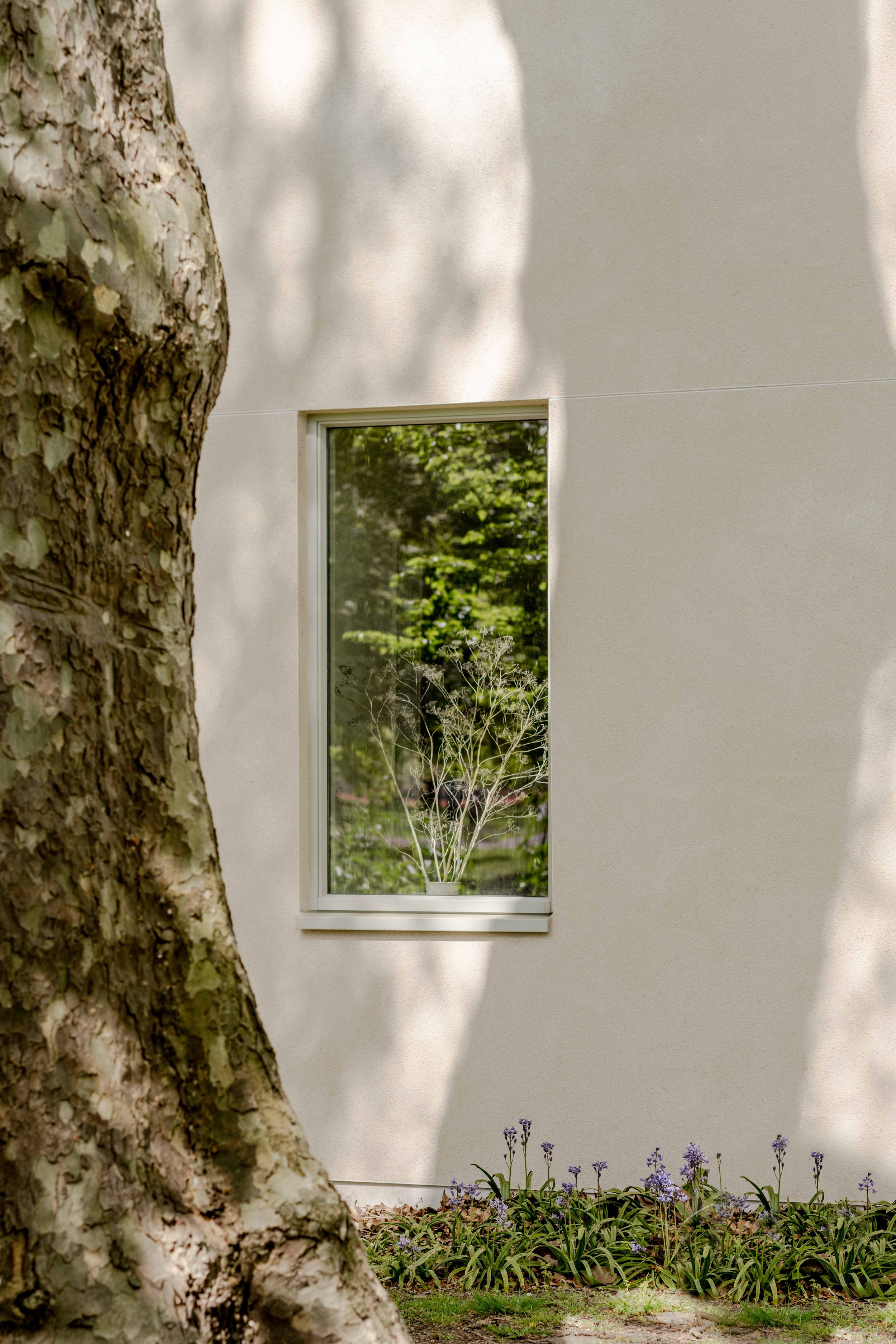hillstowe-26-Edit-lo res.jpg