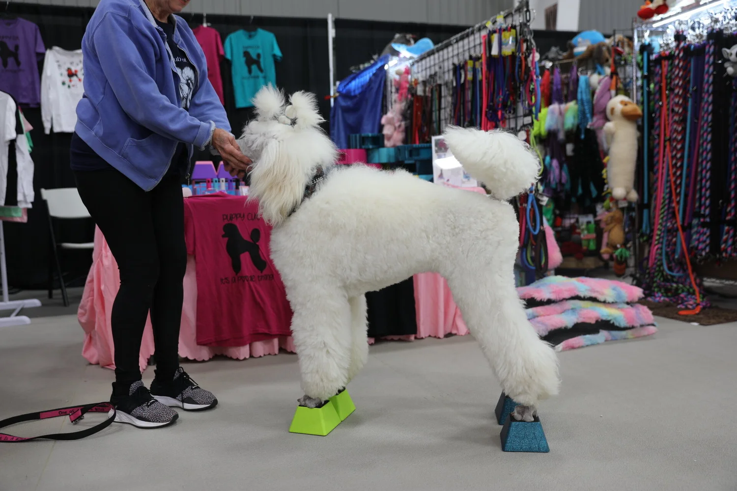 STACKING BLOCKS! (set of 4) — Vanity Fur Grooming