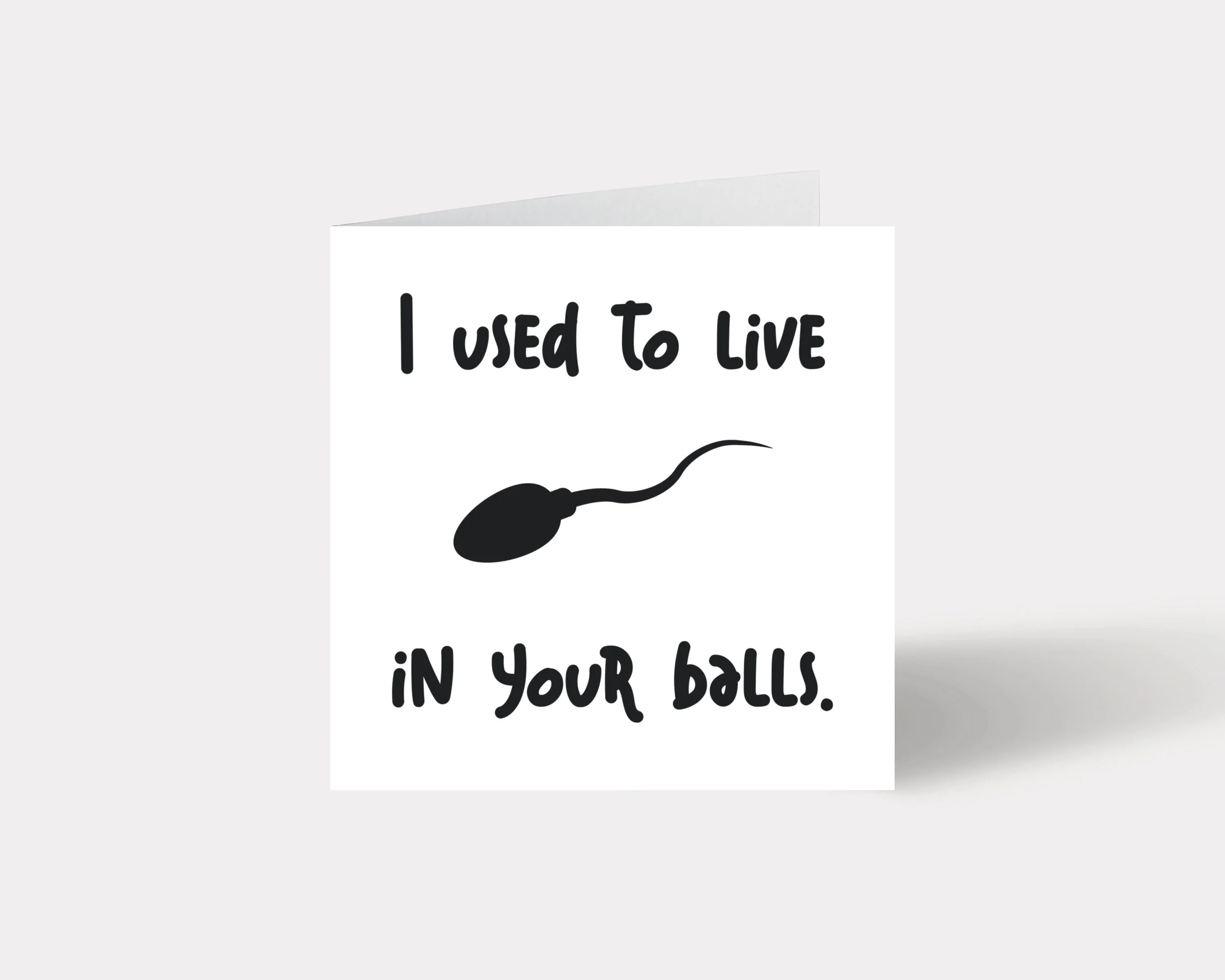 I used to live in your Balls Father’s Day Card