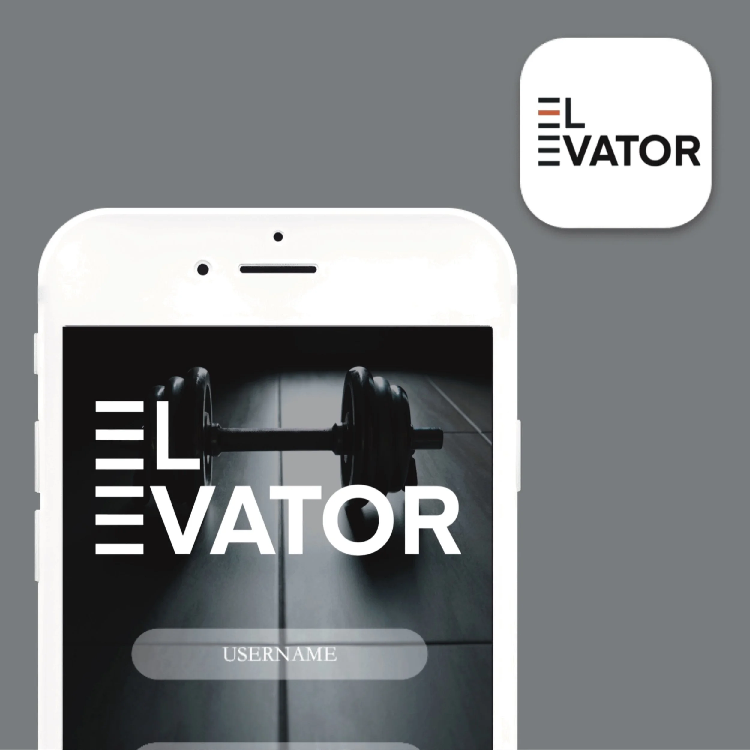 Insta_Elevator_4.jpg
