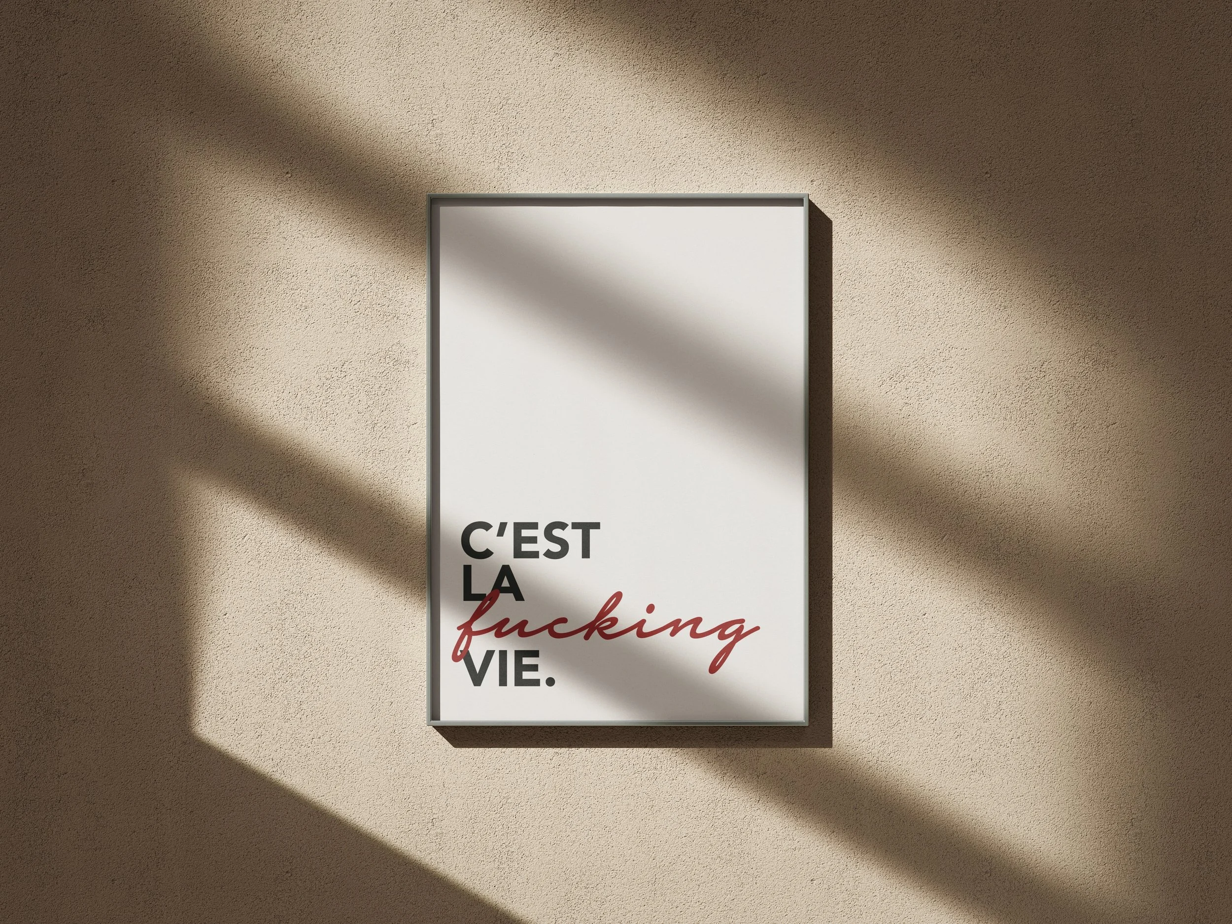C'est La Fucking Vie