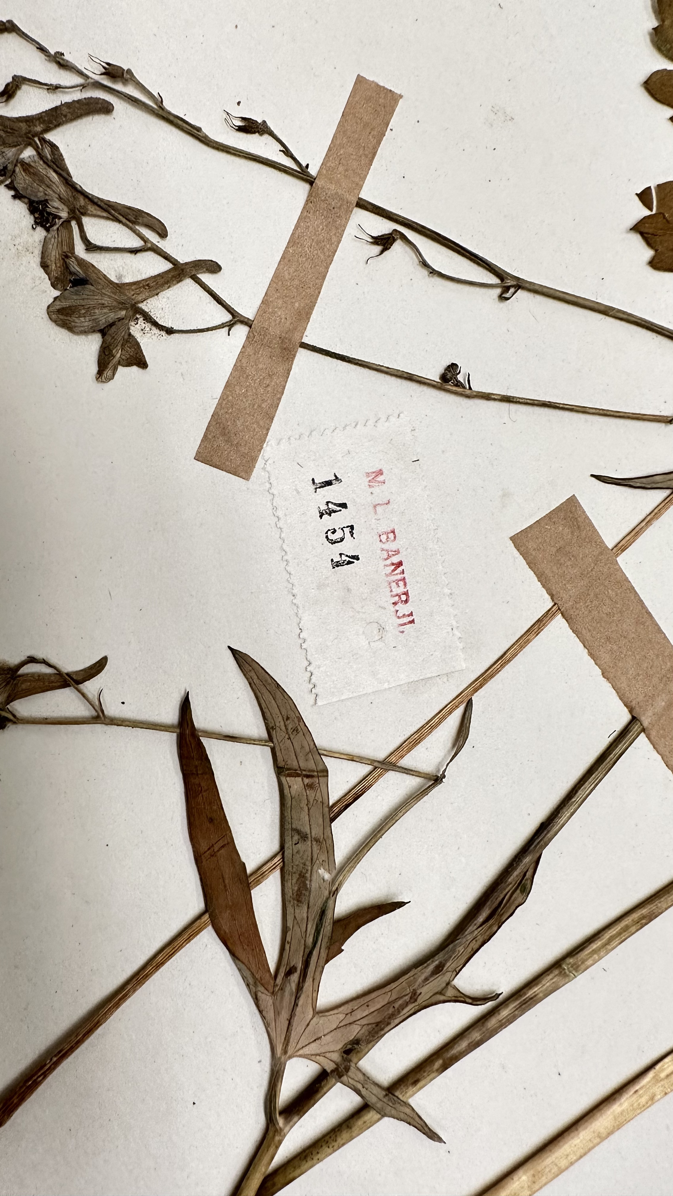 Artist's Note and Research