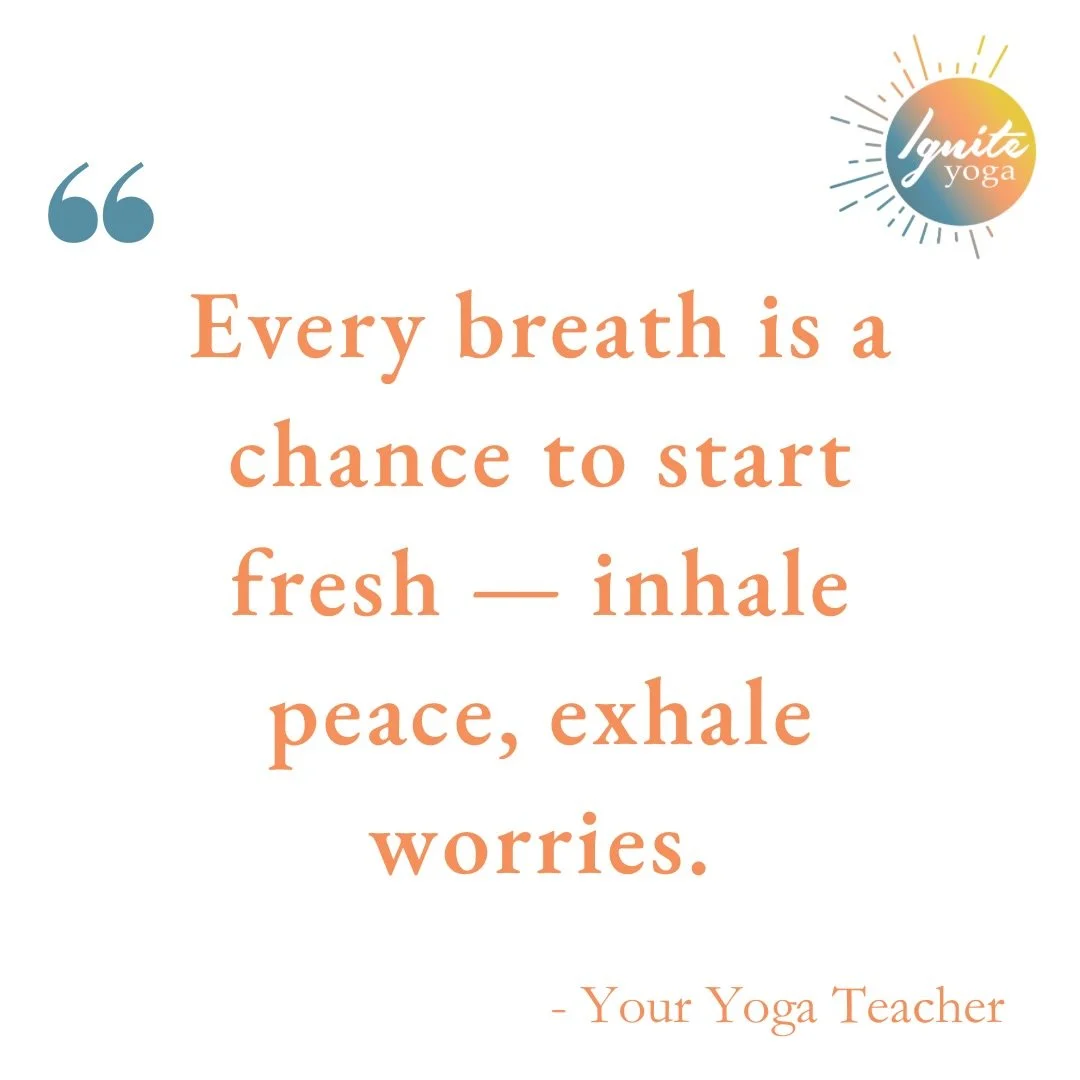 ✨A fresh start lives inside your next breath.

Inhale peace, exhale worries. Repeat 🌿

When life feels full, unclear or overwhelming, come back to the breath.

Every inhale enlivens. Every exhale softens. 

Start fresh, right here 🤍

#breathe #rela