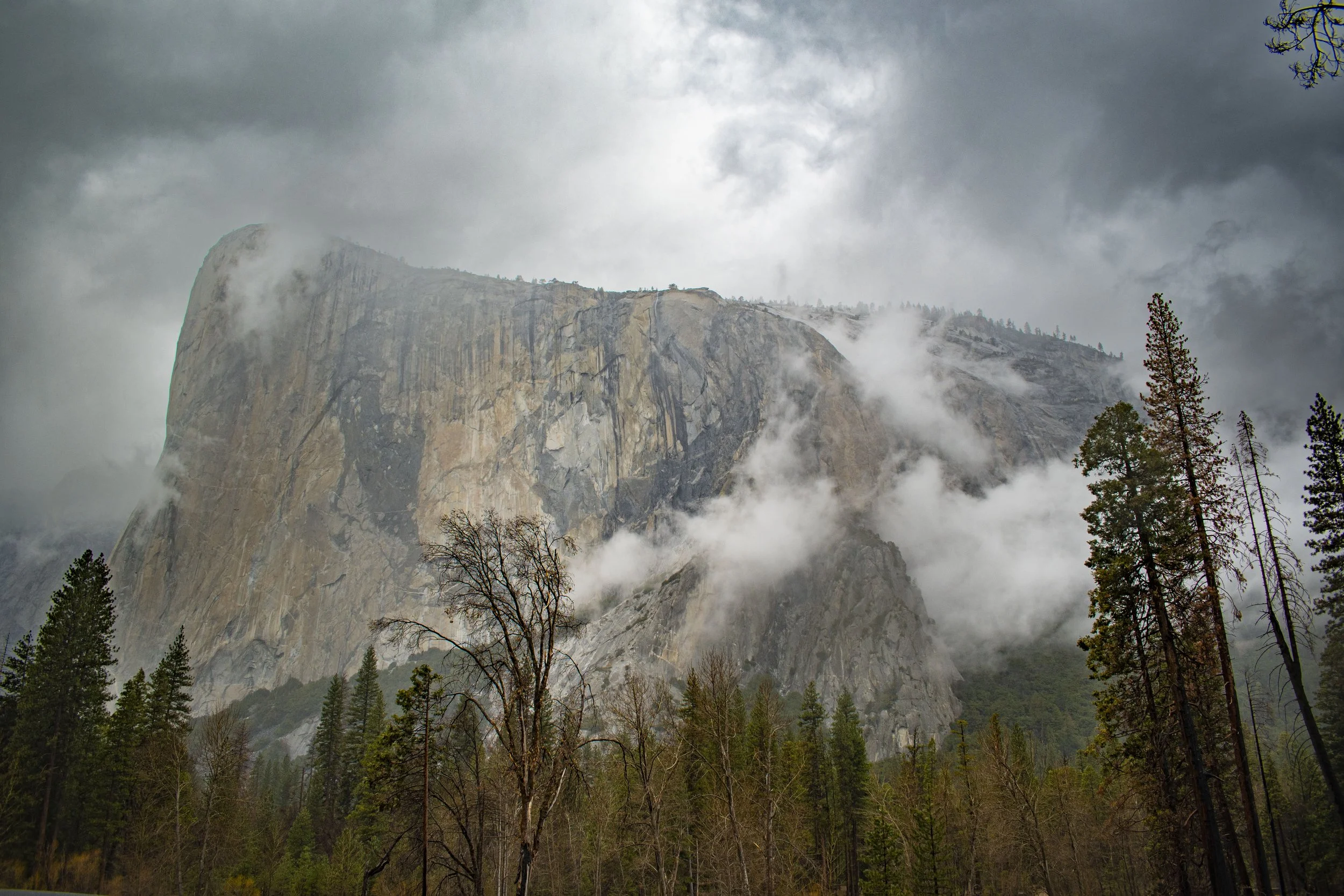 DSC_5378.jpg