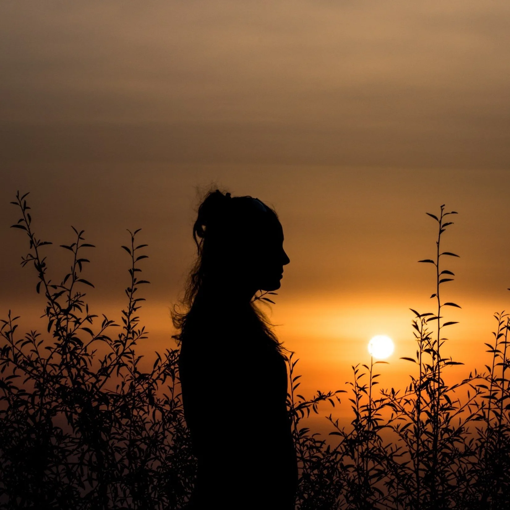 unsplash-image-tVo6wYUIBYo.jpg