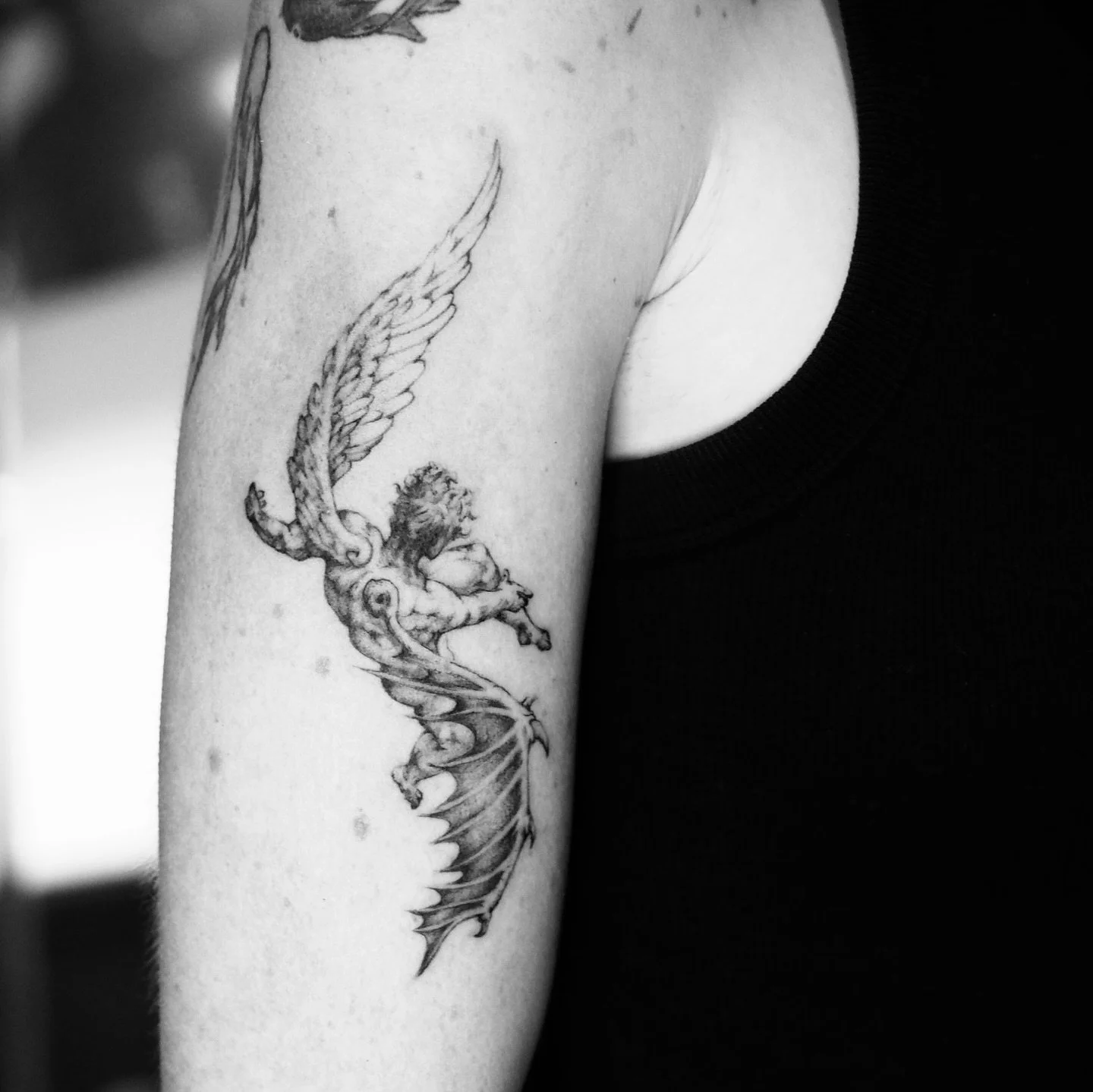 Icarus for @nimm.comm 🪽