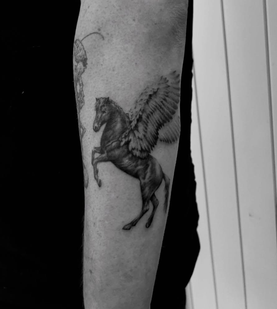 Pegasus 🐴🪽 for @pvnels_  this was insanely fun