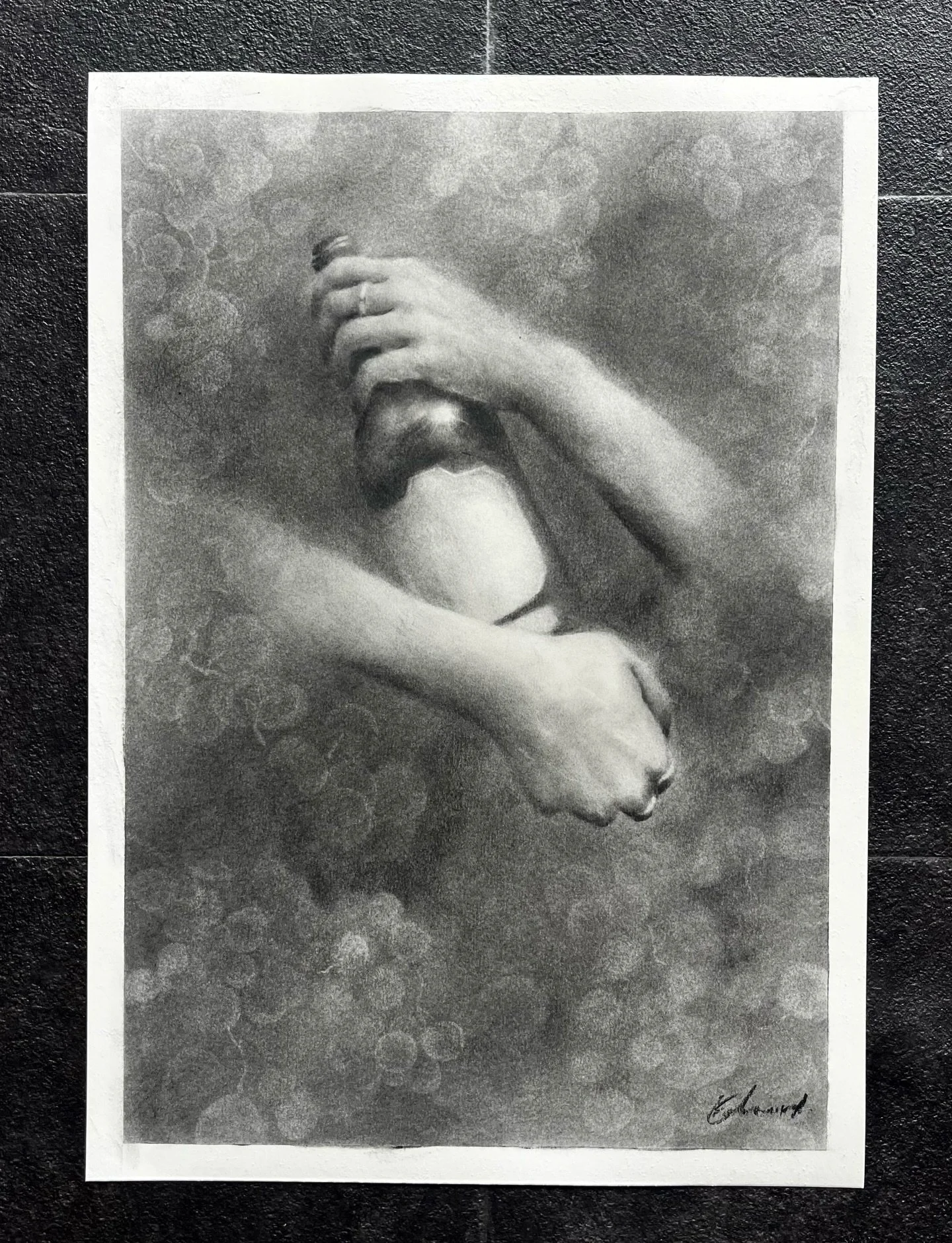 Grapes - charcoal on paper A3