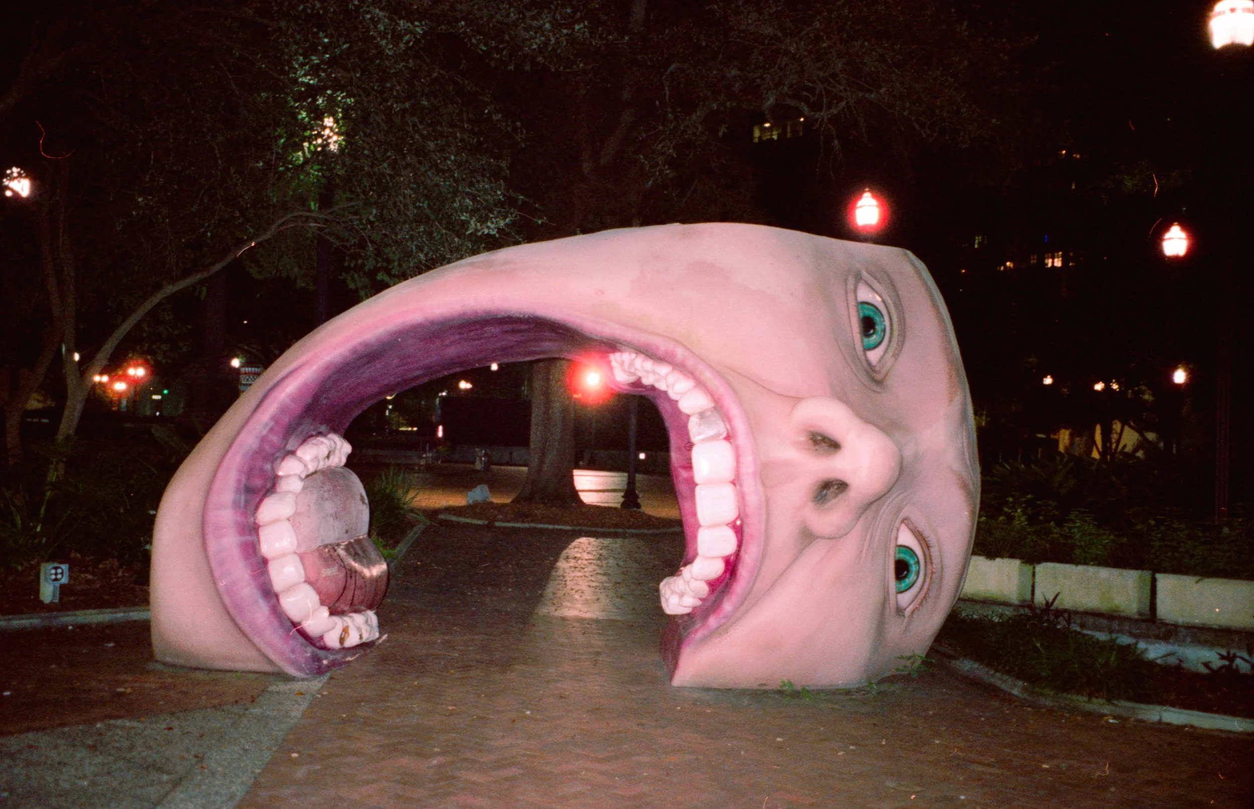 img20201130_20335400.jpg