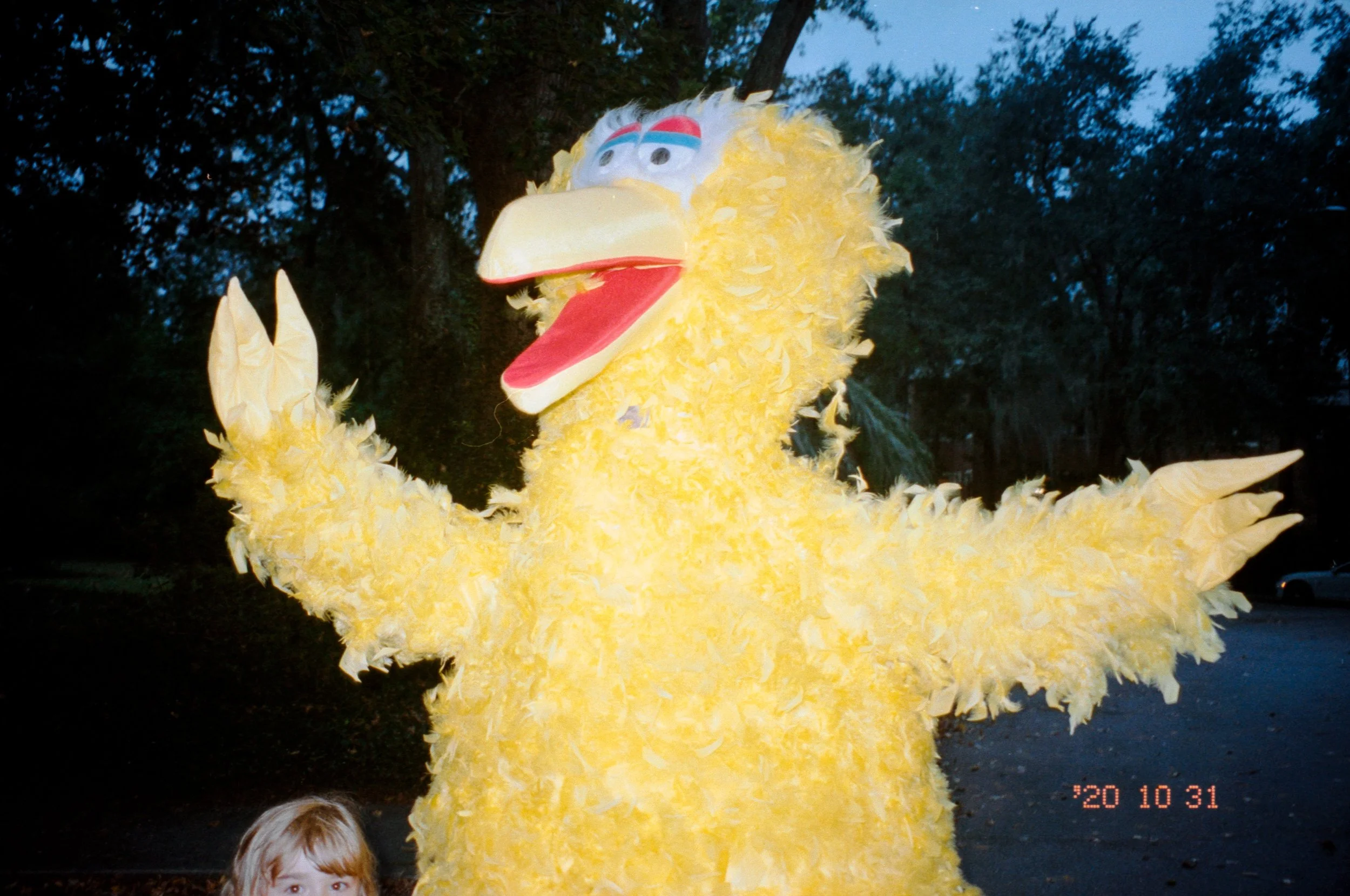 img20201102_20113857.jpg