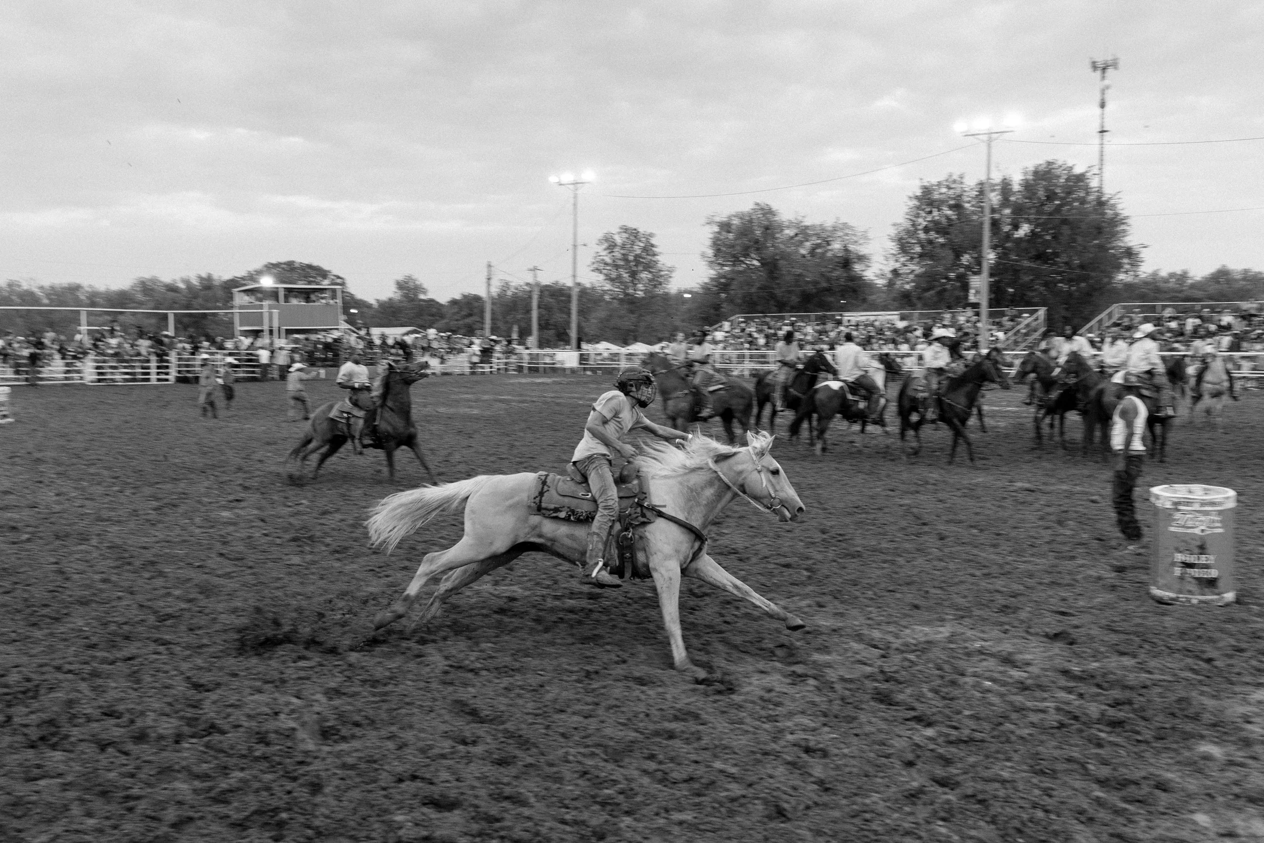 DSC04842BR25222.jpg