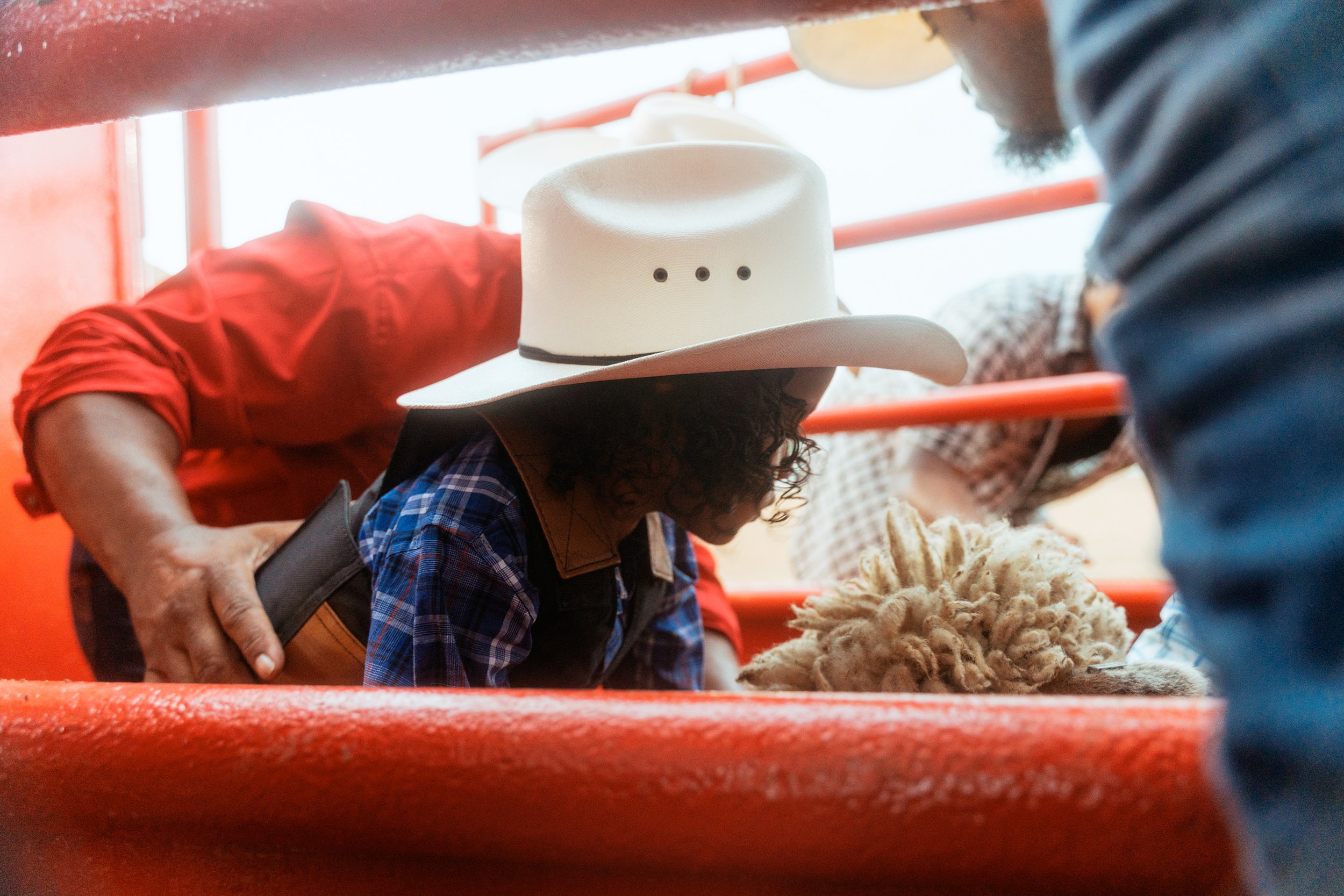 20240525-DSC04523BoleyRodeoOriginal485.jpg