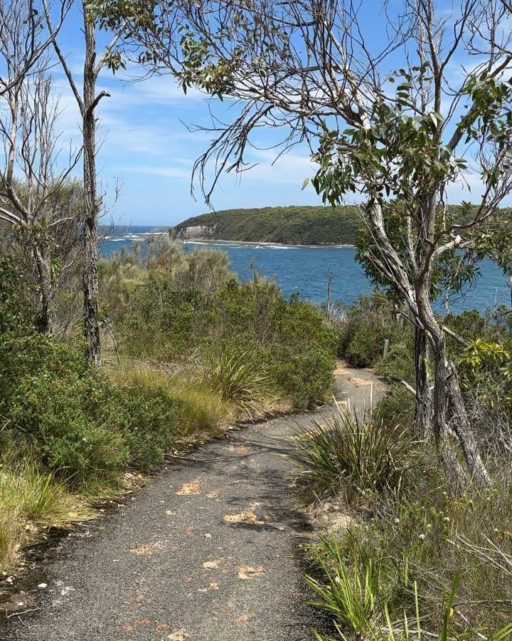 Magnificent few days out on the Terra Nova 24 2023 course. 

Ulladulla is made for adventure - just loved exploring the rocky headlands, national park trails and back country forestry.

If there&rsquo;s lots of pics of beaches that&rsquo;s because we