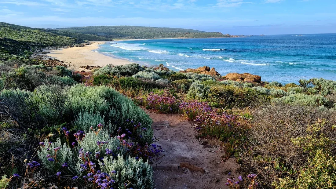 cape-to-cape-itinerary.webp