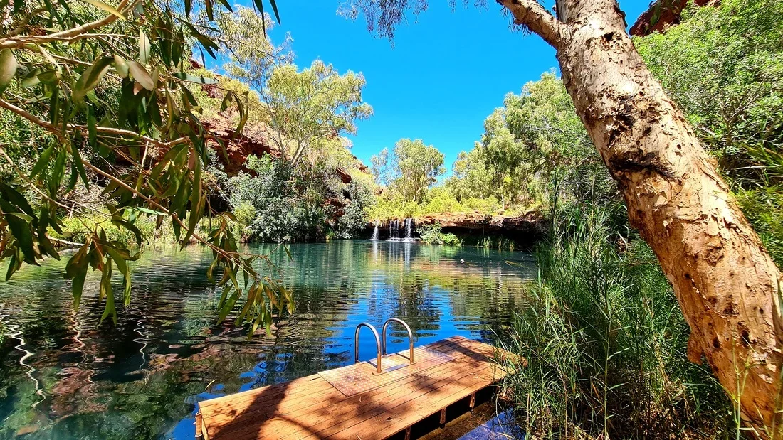 fern-pool-karijini.webp