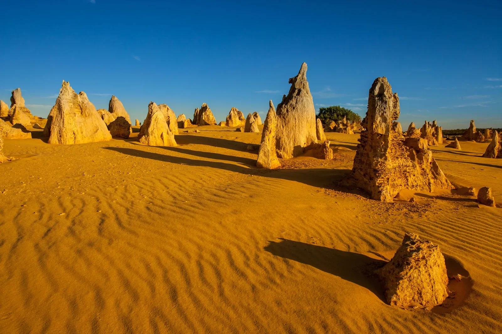 Pinnacles-Nambung-National-Park-Western-Australia.jpg.webp
