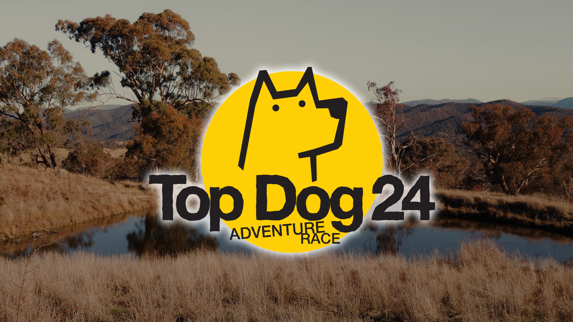 Event-Banners-top-dog.png