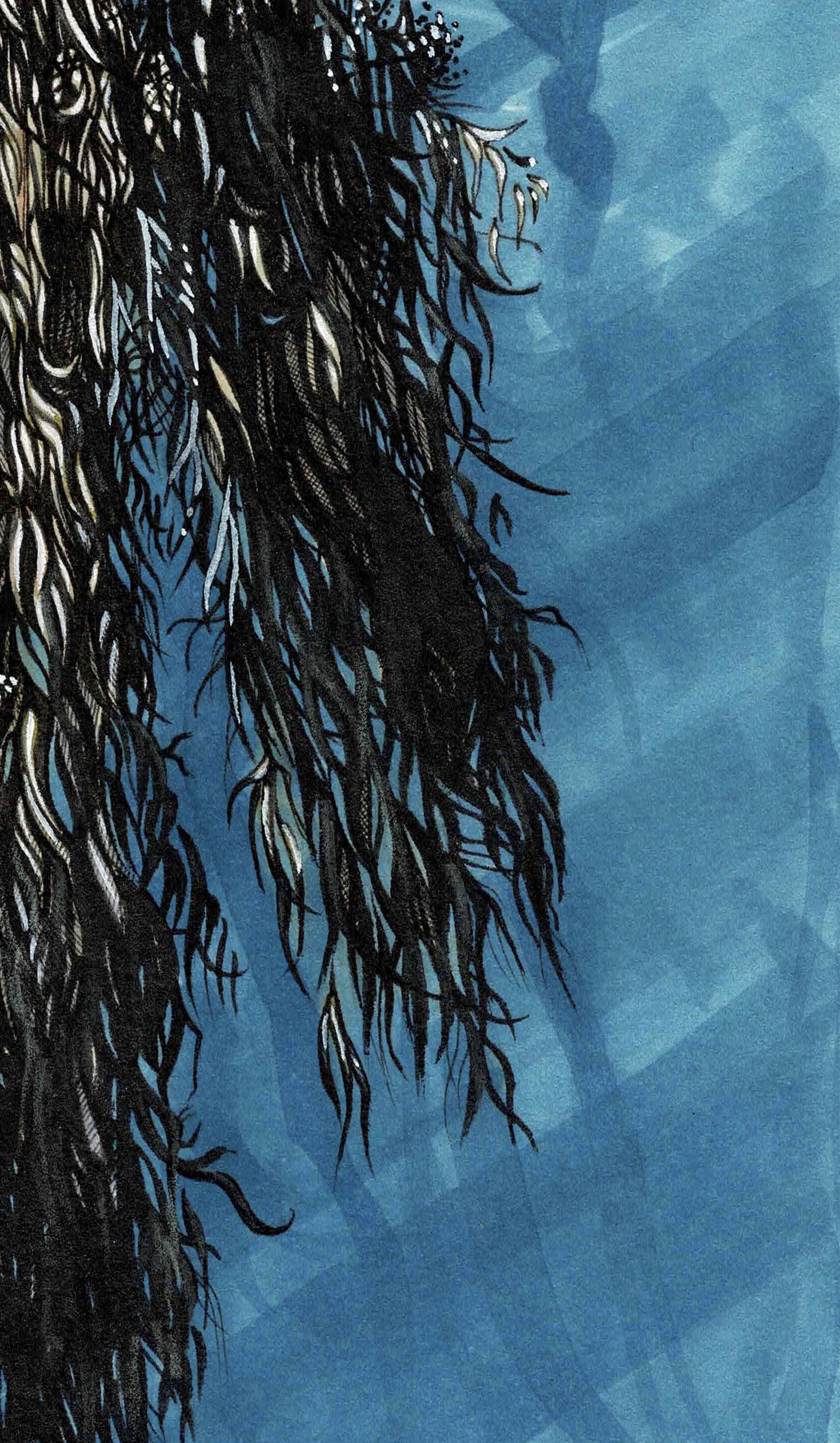 low hanging boughs.jpg